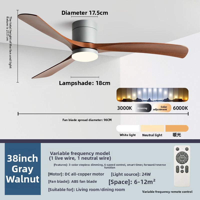 Ceiling Fan Light