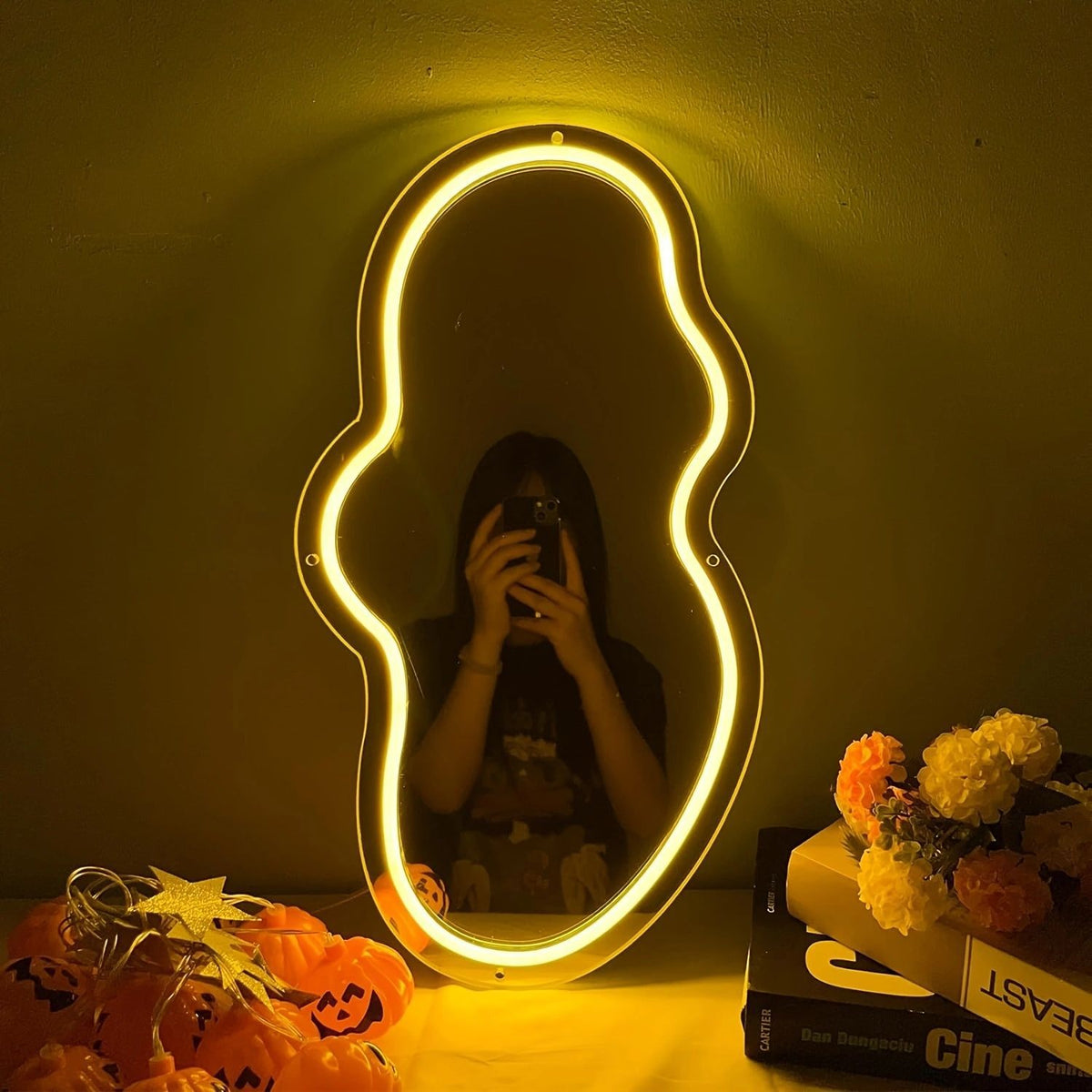 Dimmable Acrylic LED Neon Light