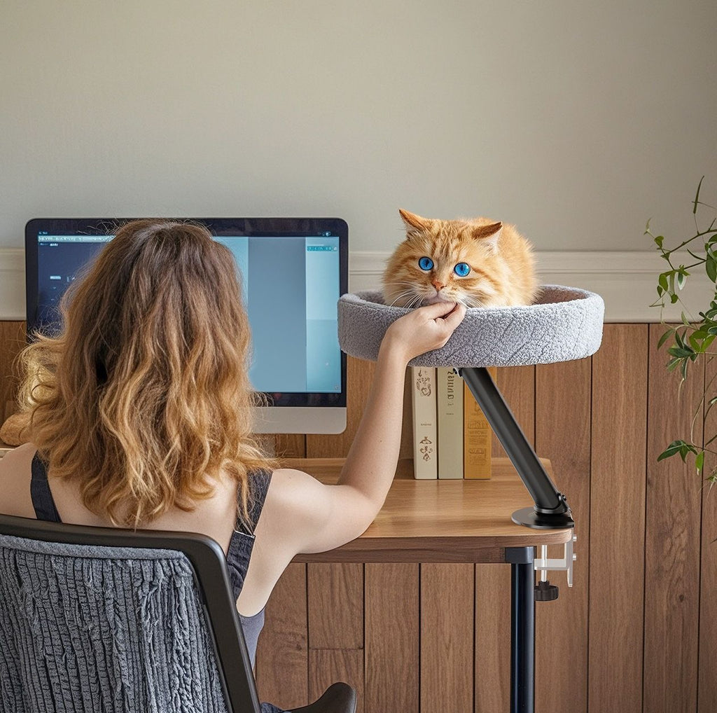Suspended Cat Bed with Climbing Frame