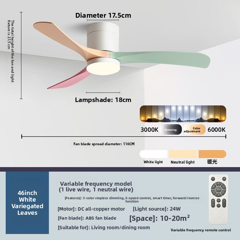 Ceiling Fan Light