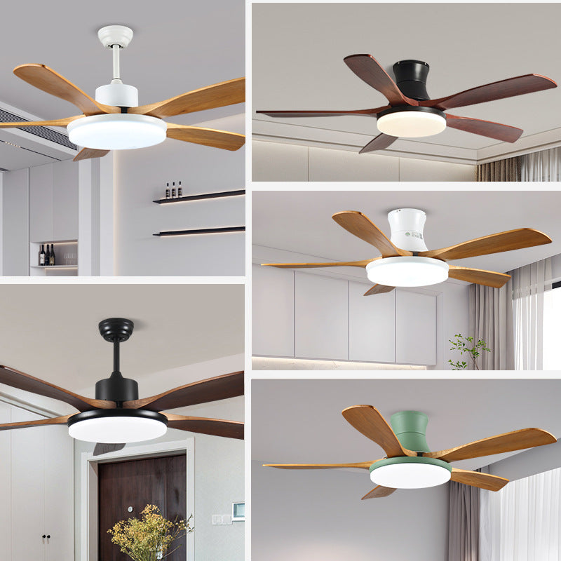 Ceiling fan lamp teemdrop