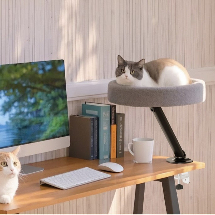 Suspended Cat Bed with Climbing Frame