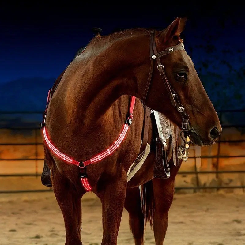 LED Light Up Adjustable Horse Chest Strap Rechargeable Nylon Safety Equestrian Gear with Flashing Modes teemdrop
