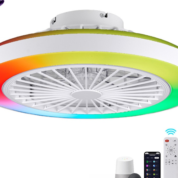 Modern  Smart Ceiling Fan Light