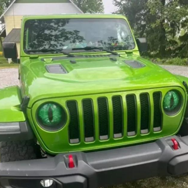 Beast Eye Car Headlight Stickers