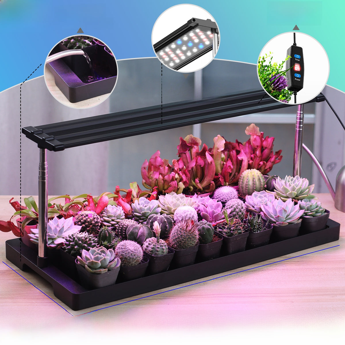 LED Specialized Greenhouse for Succulent Plants and Flowers for Indoor Use