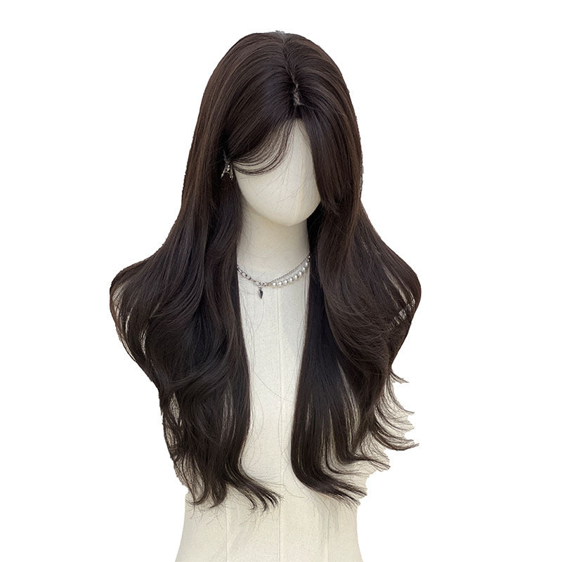 Full Head Cover Women's Long Curly Hair Daily Black Brown teemdrop