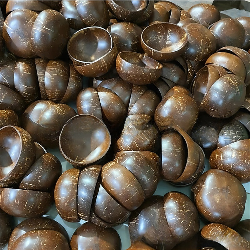 Natural Coconut Wood Bowl Set with Spoon