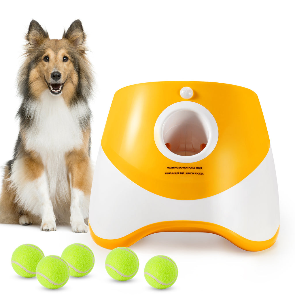 Pet Ball-Throwing Machine