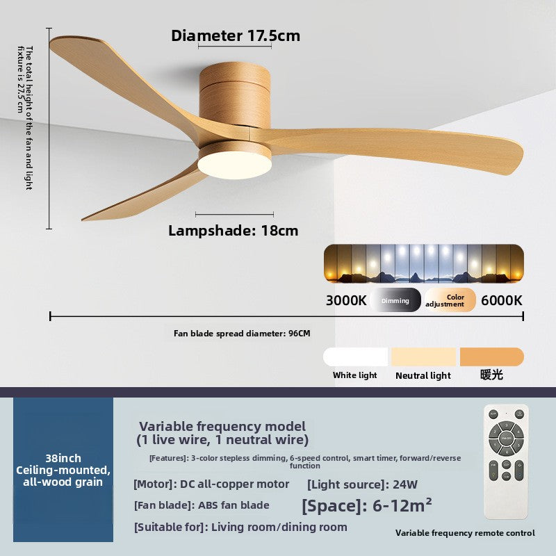 Ceiling Fan Light