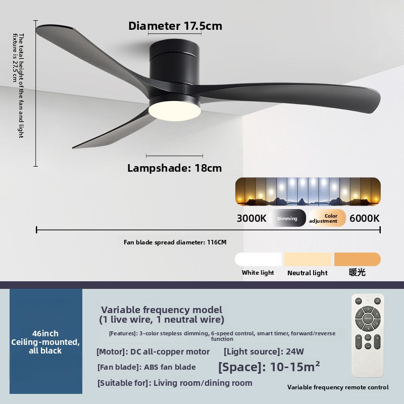 Ceiling Fan Light