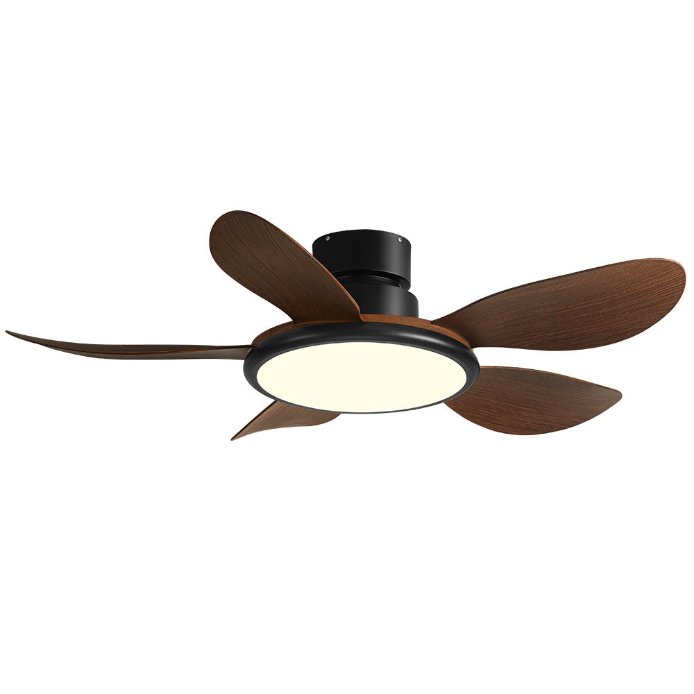Living Room Fan Lamp