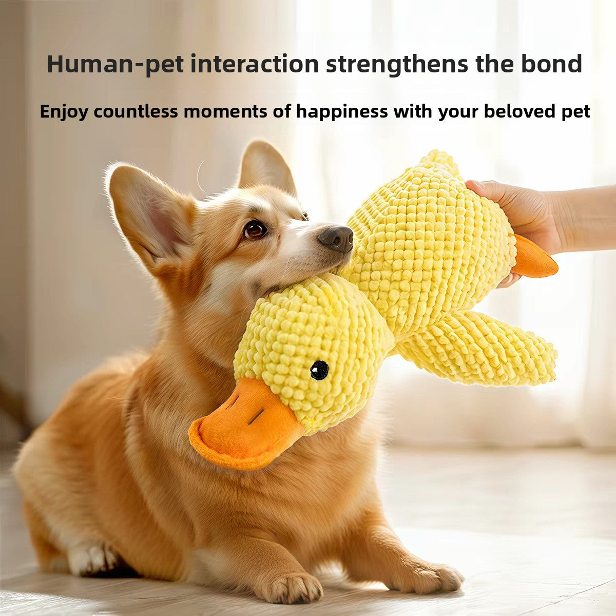 Plush Duck Pet Toy with Sound
