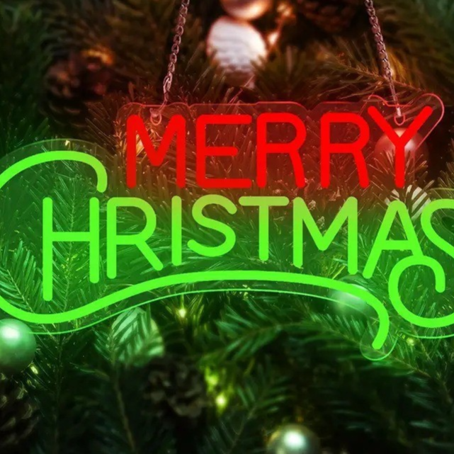 Dimmable LED Neon Light for Christmas Party Wall Decor USB Powered teemdrop
