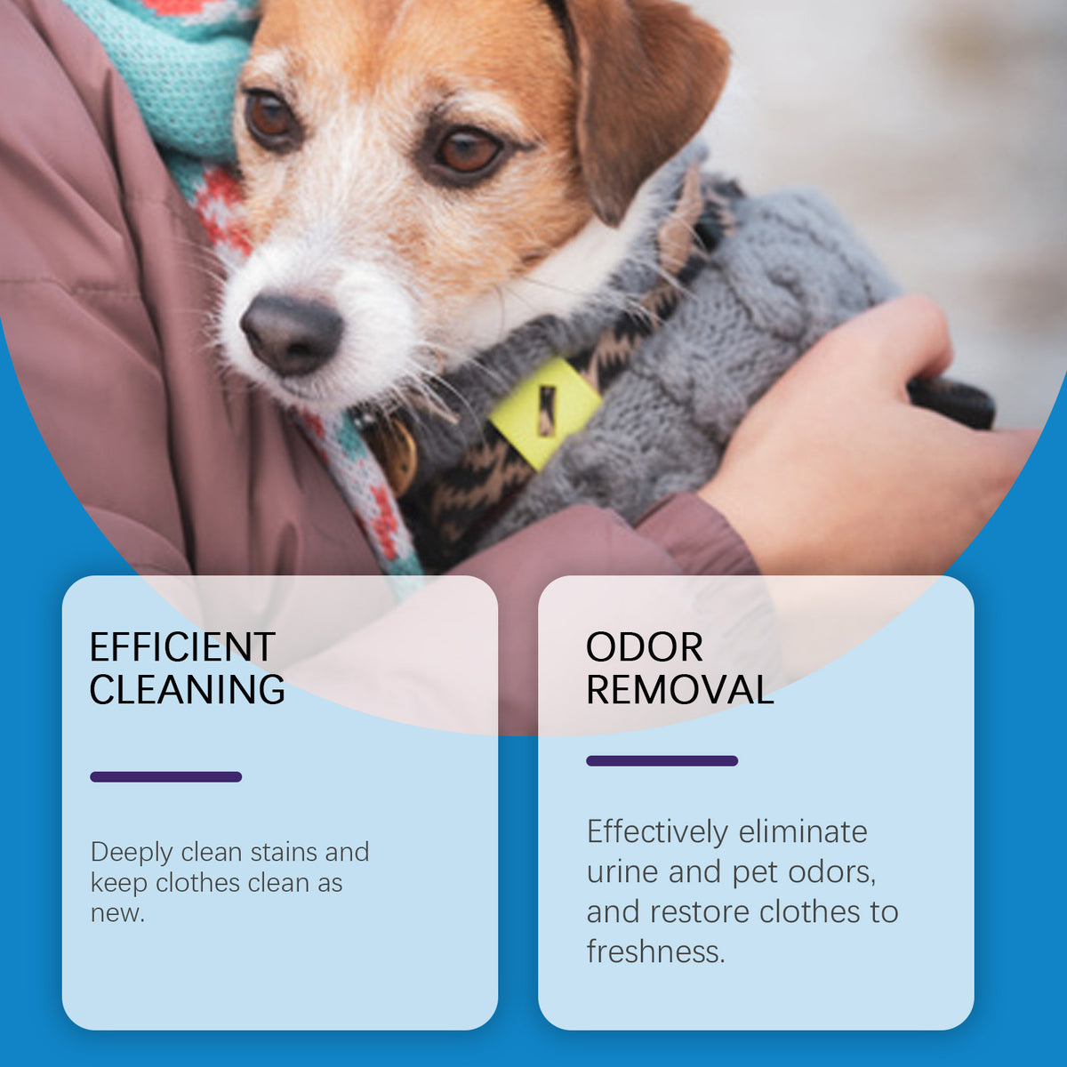 Pet Fresh Laundry Powder