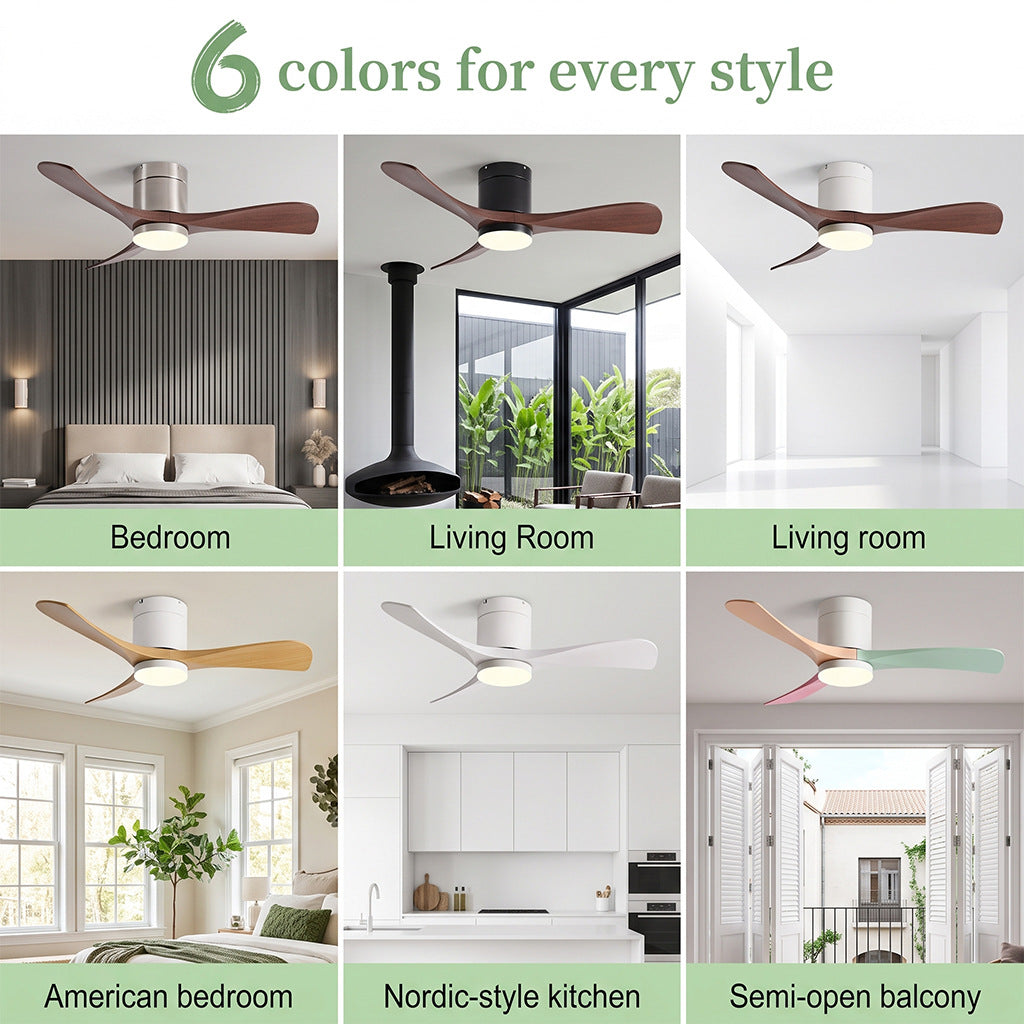 Ceiling Fan Light