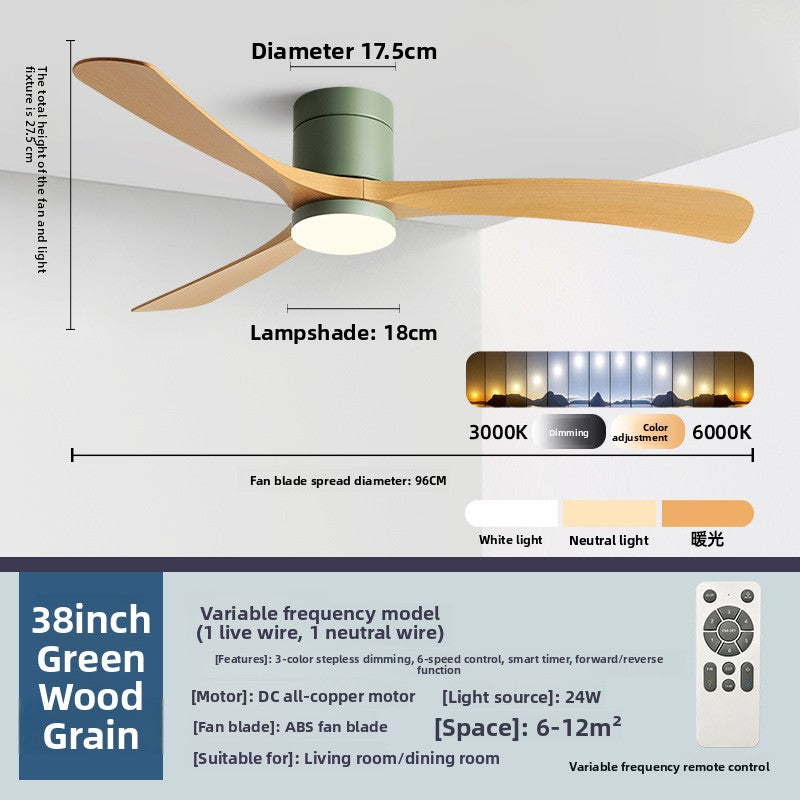 Ceiling Fan Light