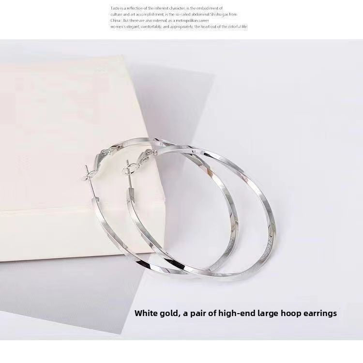 Big ring earrings
