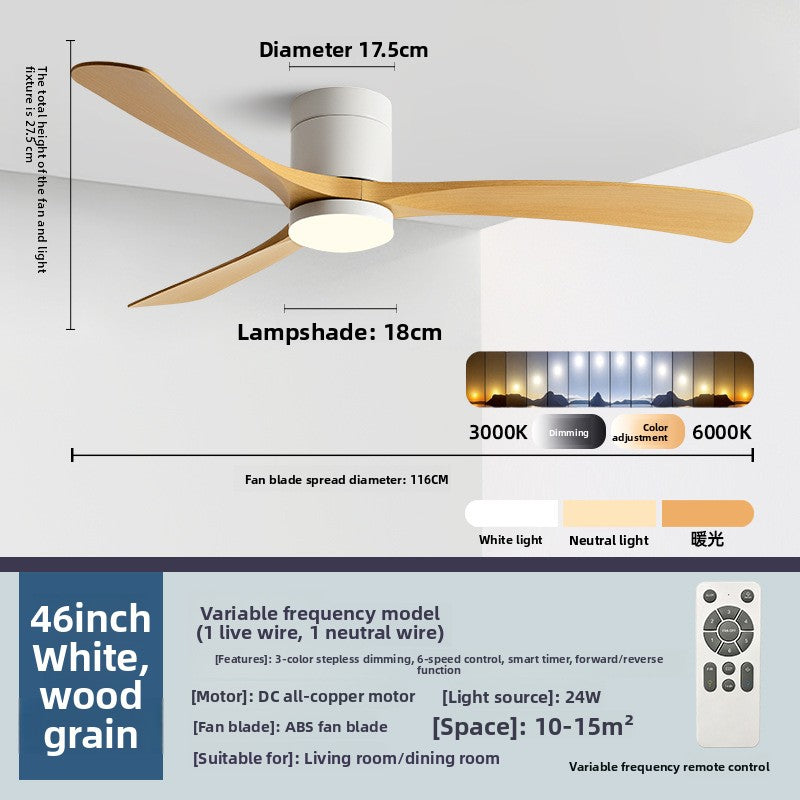 Ceiling Fan Light