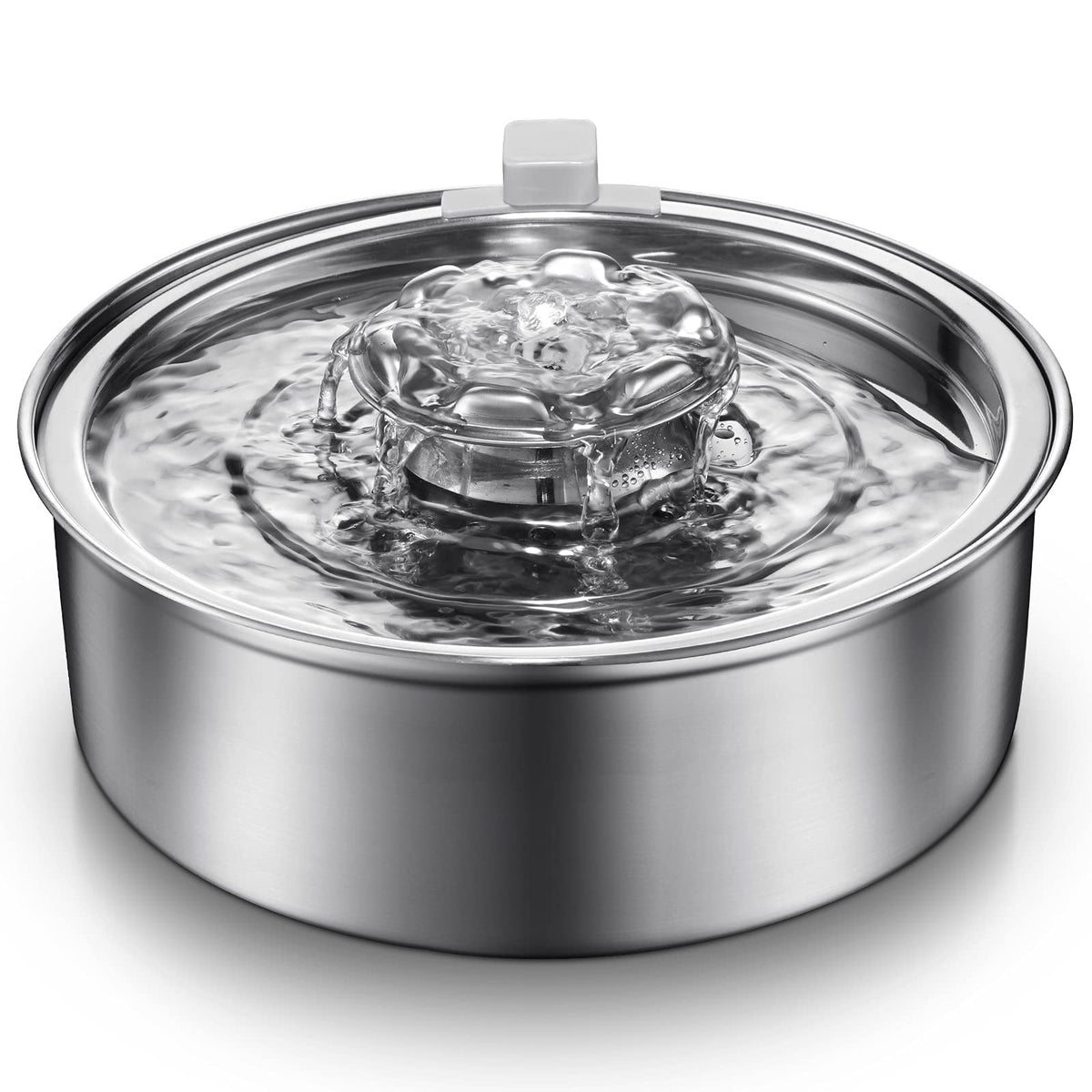Open Fountain Pet Water Dispenser