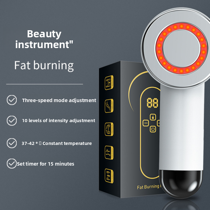 Four-in-One Skin Care Device with EMS RF Infrared Technology