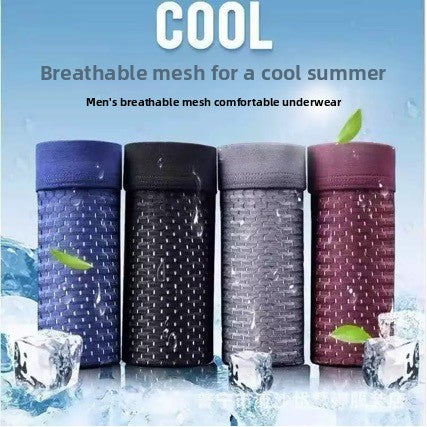 Men Ice Silk Boxer Briefs Breathable Cooling Thin Underwear teemdrop