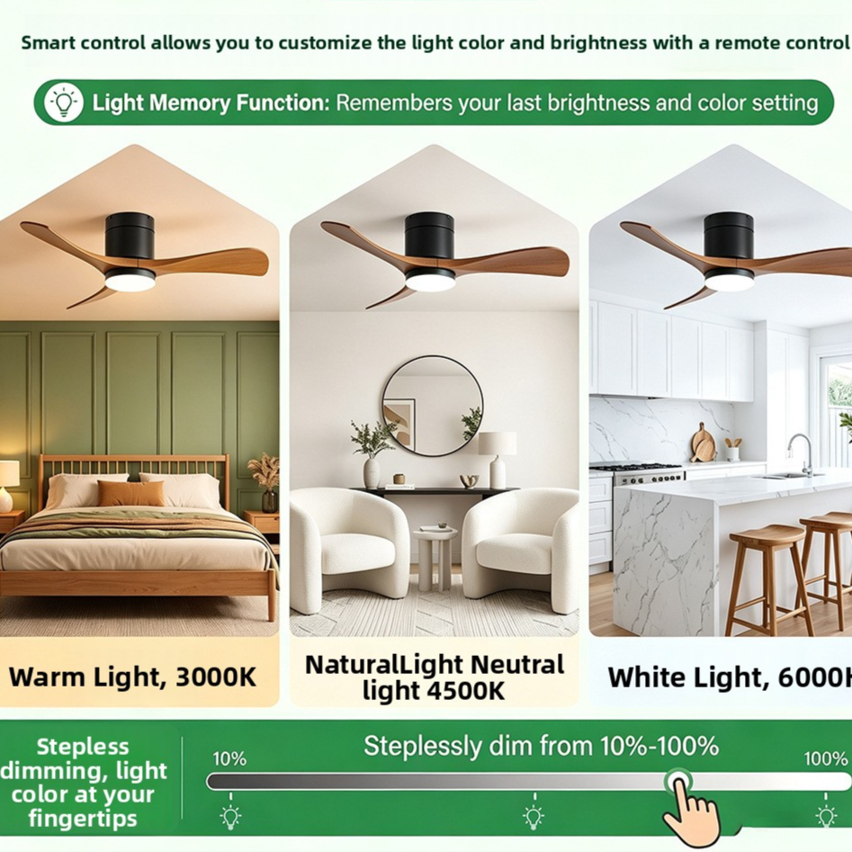 Ceiling Fan Light