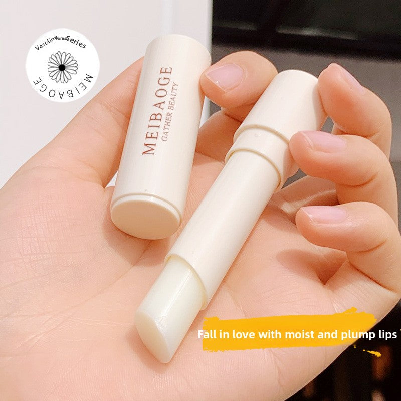 Moisturizing Anti-Dryness Lip Balm teemdrop