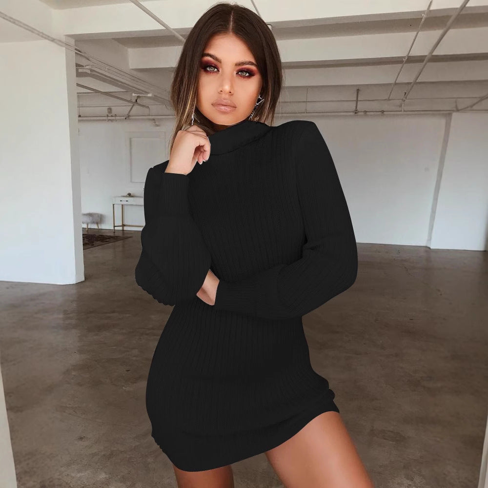 Women's High Collar Slim Knit Dress Long Sleeve Mid-Length Solid