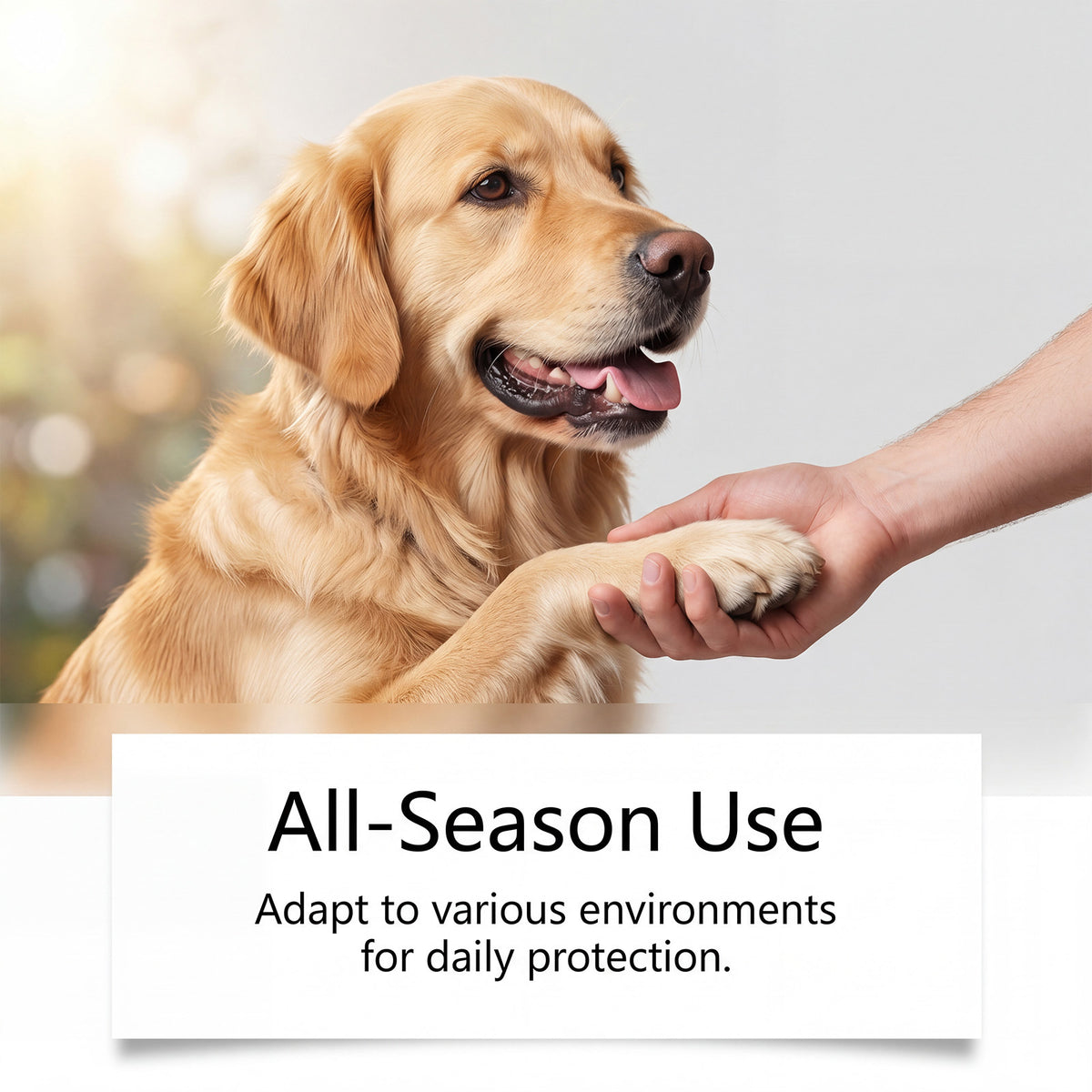 Moisturizing Pet Paw Balm for Soft and Smooth Pads teemdrop
