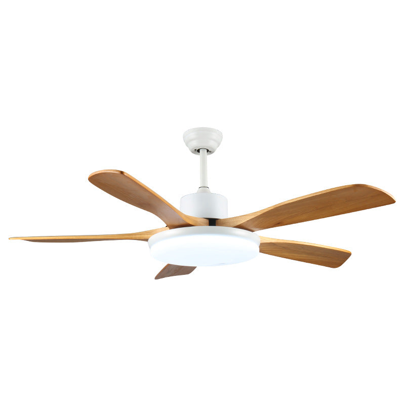 Ceiling fan lamp teemdrop