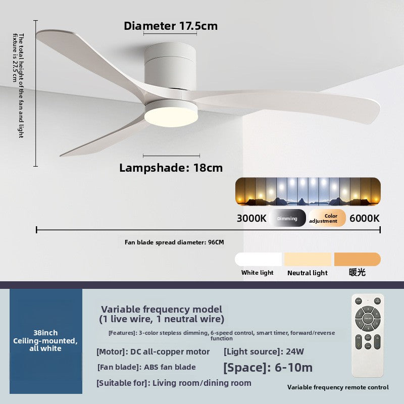 Ceiling Fan Light