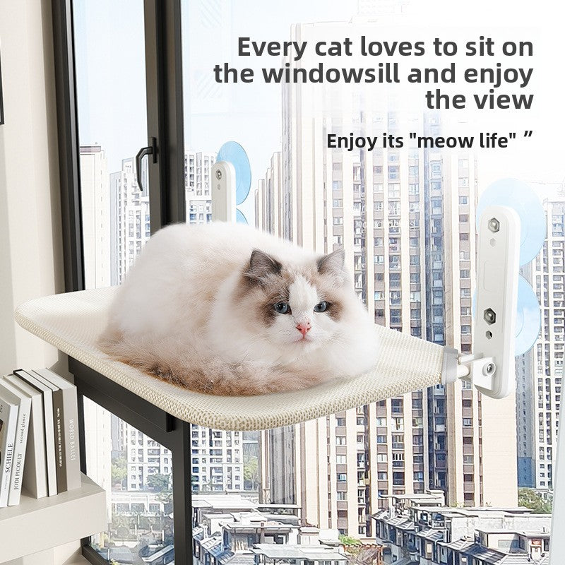 Cats use Windows to hang sucker hammocks