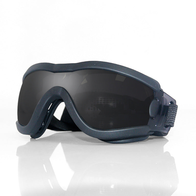 Adjustable Pet Protective Goggles