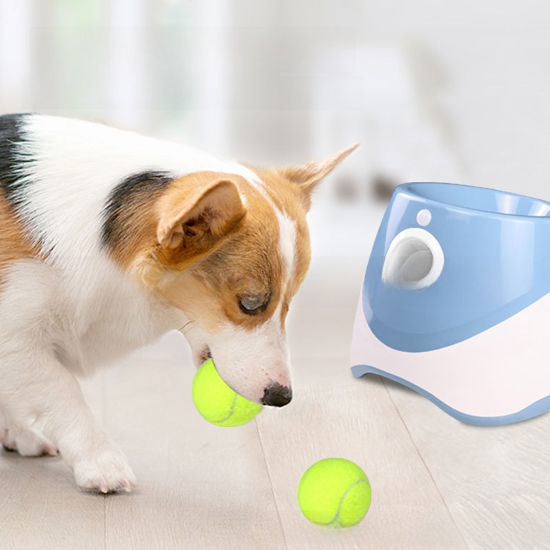 Pet Ball-Throwing Machine