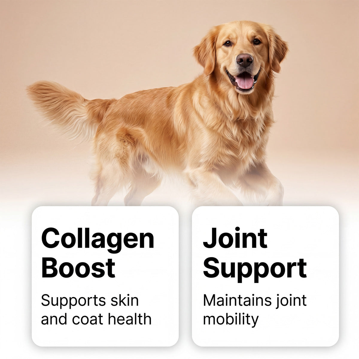 Petite Collagen Liquid Drops teemdrop
