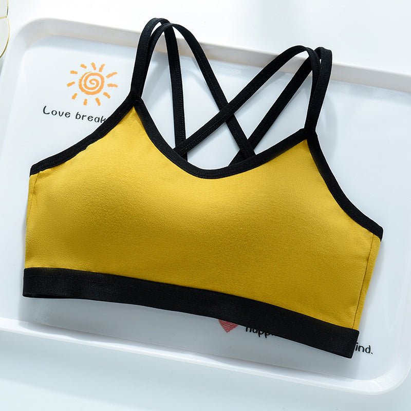 Wirefree Sports Bra with Back Support