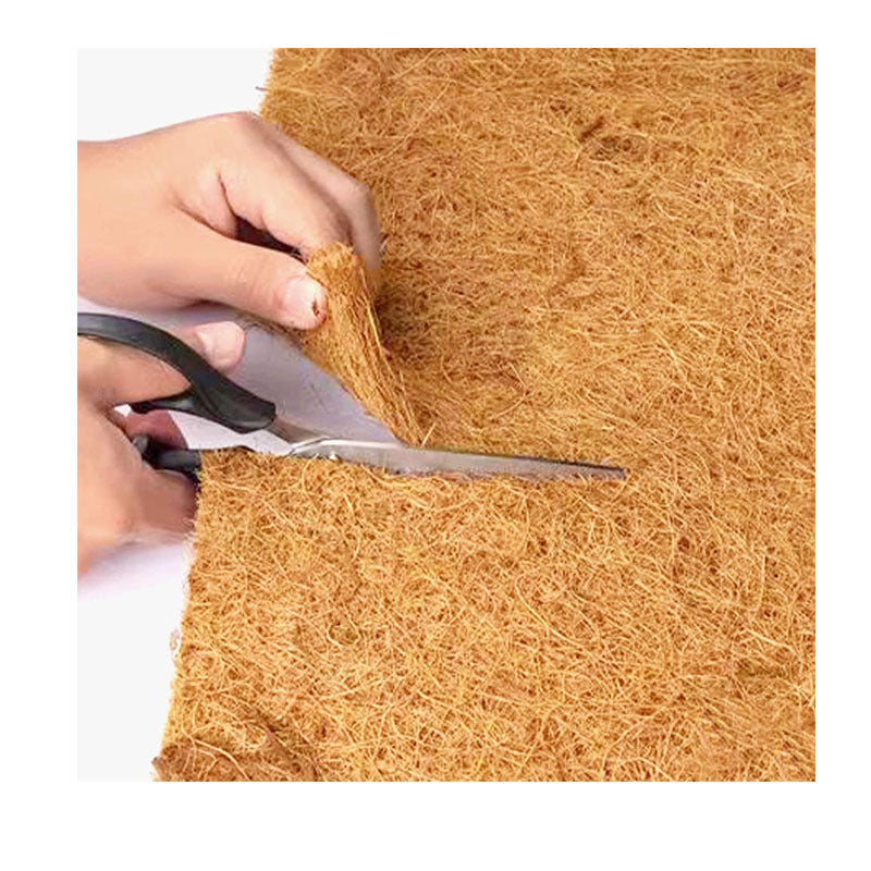 Natural coconut palm anti-dirt and grass climbing pet carpet teemdrop