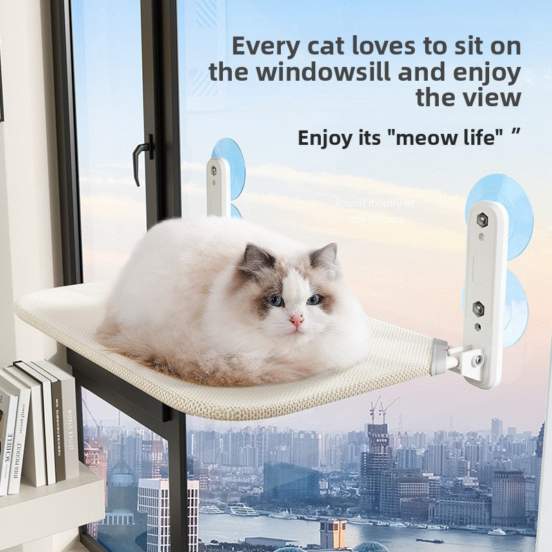Cats use Windows to hang sucker hammocks