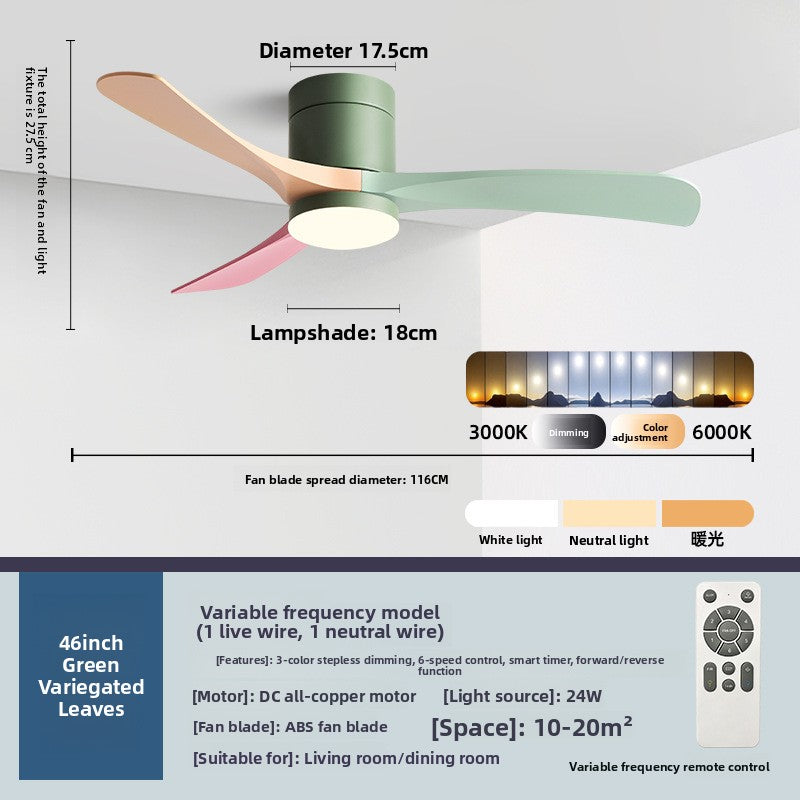 Ceiling Fan Light