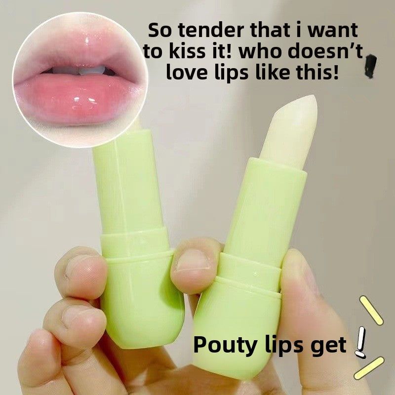 Moisturizing Anti-Dryness Lip Balm teemdrop