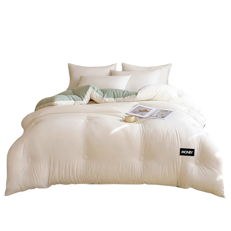 Winter thick quilt and bedding for spring and autumn