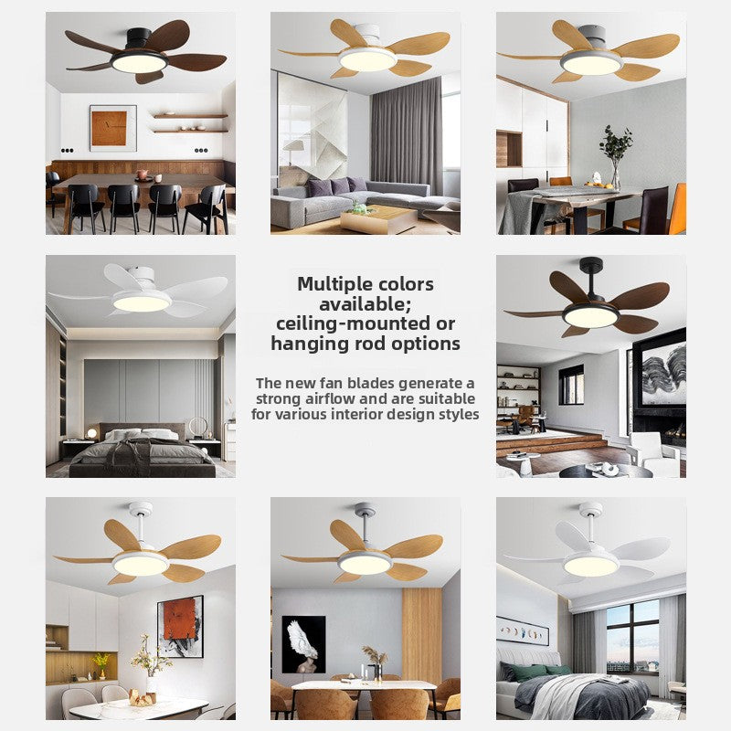 Living Room Fan Lamp