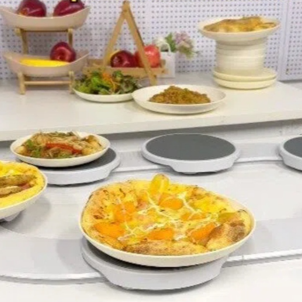 Rotating Dining Table Tray