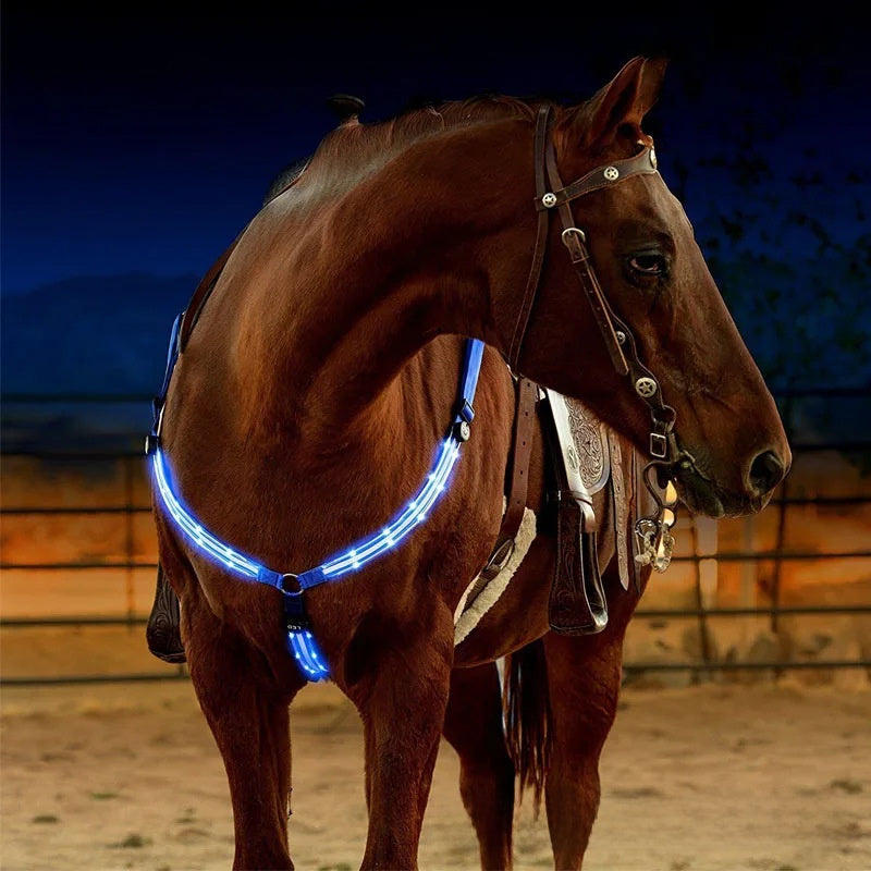 LED Light Up Adjustable Horse Chest Strap Rechargeable Nylon Safety Equestrian Gear with Flashing Modes teemdrop