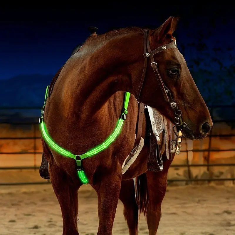 LED Light Up Adjustable Horse Chest Strap Rechargeable Nylon Safety Equestrian Gear with Flashing Modes teemdrop