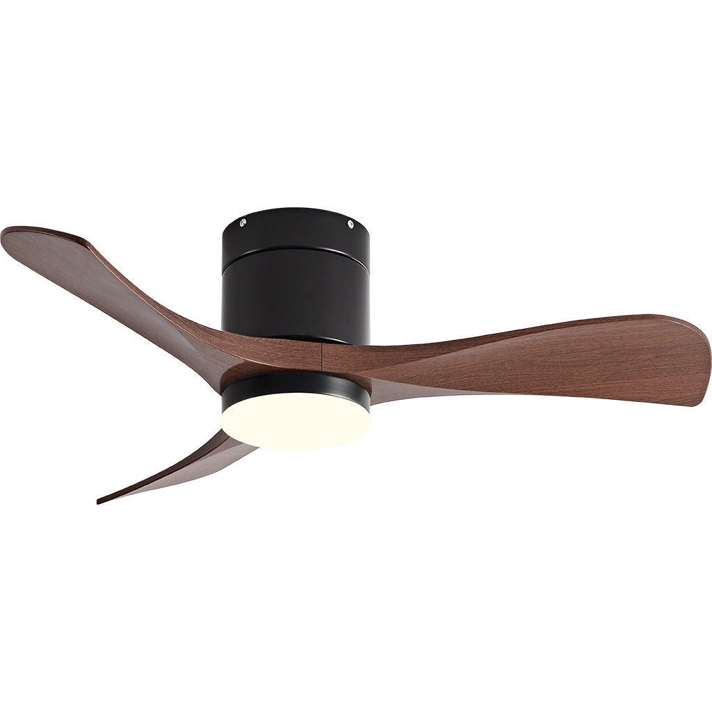 Ceiling Fan Light