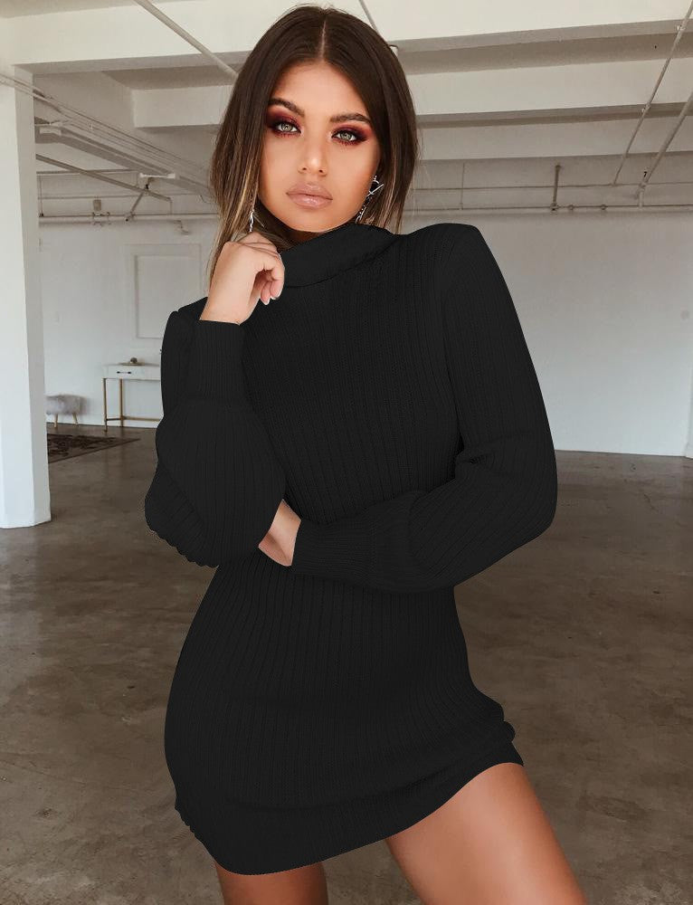 Women's High Collar Slim Knit Dress Long Sleeve Mid-Length Solid