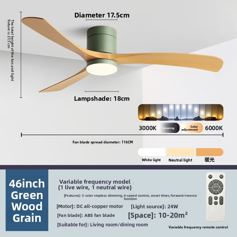 Ceiling Fan Light